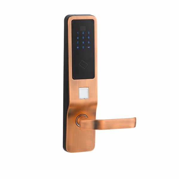 Дверной замок с доступом по паролю или M1 карте и с противовзломным гнездом LockTok модель  LTH015